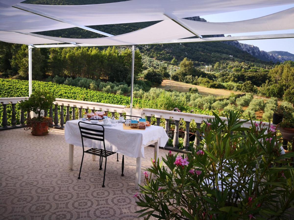 Villa Maria Dorgali Extérieur photo