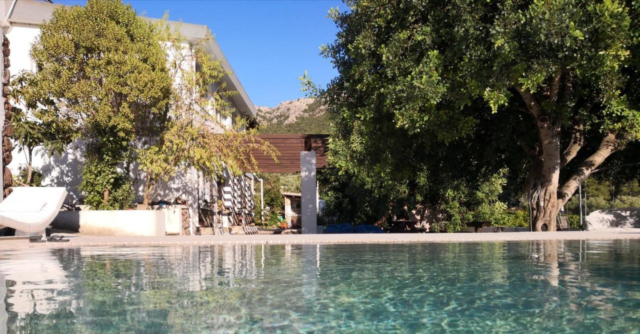 Villa Maria Dorgali Extérieur photo