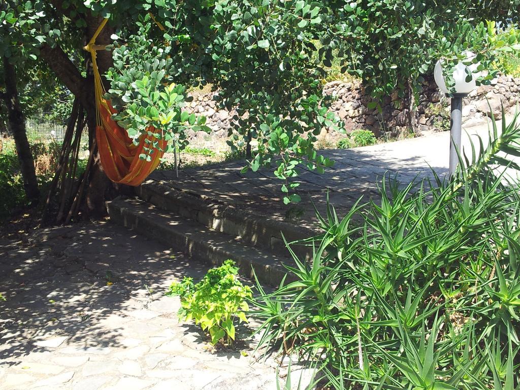 Villa Maria Dorgali Chambre photo
