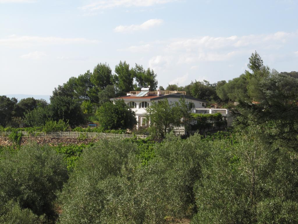 Villa Maria Dorgali Chambre photo