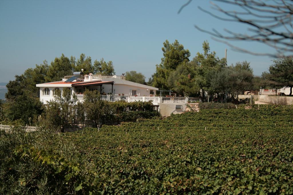 Villa Maria Dorgali Extérieur photo